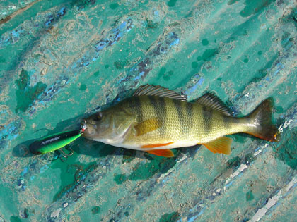 20090526-ロシア画像 016.jpg